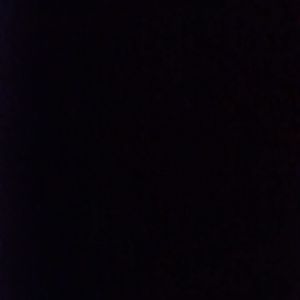 Meet your Posher, Vincent